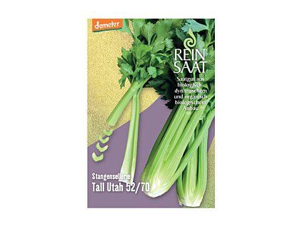 358918 21b7e04e large