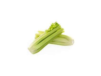Semienka stonkový zeler REINSAAT