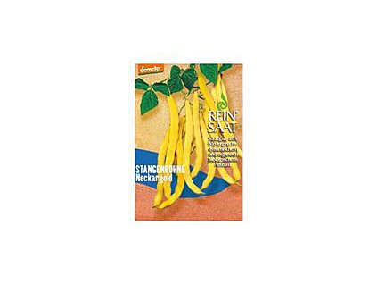 Semienka fazuľové struky žlté demeter REINSAAT