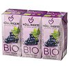 Nektár červené hrozno 200ml BIO HOL