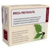 Čaj breza previsnutá list 40g