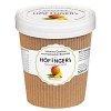 Sorbet mangový  500ml BIO Hofinger