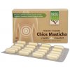 Chios Masticha v kapsuliach 18,2g, 40kapsúl MASTIC LIFE
