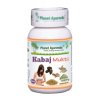 Kabaj Mukti 60 veg kapslí 500mg Planet Ayurveda