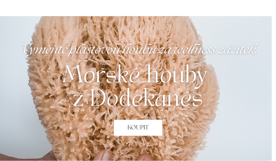 Houby 2