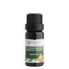 nobilis tilia etericky olej grapefruit 10 ml