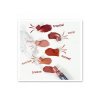 crazy rumors balzam na rty hibiskiss
