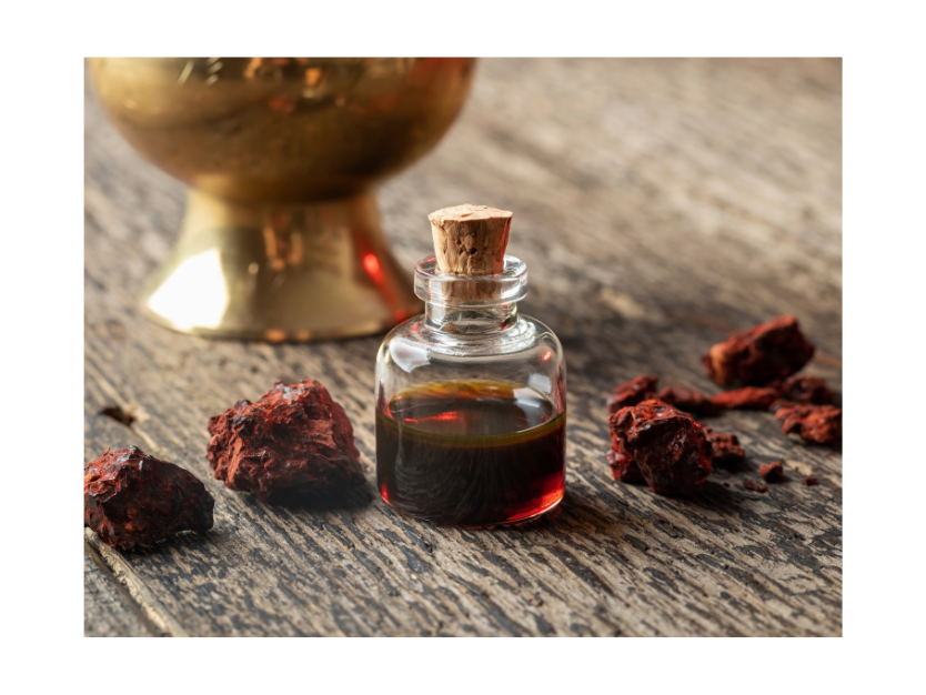 Dračí krev je aktivní látkou proti stárnutí