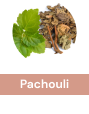 Pachouli