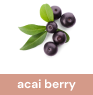 acai_berry