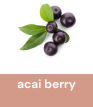 acai_berry_2