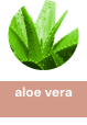 aloe_vera_2