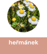 hermanek_2