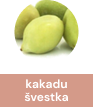 kakadu_svestka
