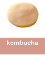 kombucha_2