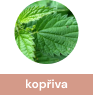 kopriva