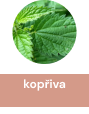 kopriva_2