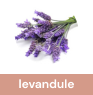 levandule