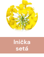 lnicka_seta_2