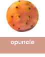 opuncie_2