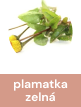 plamatka