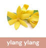 ylang