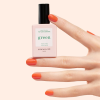 Top coat 2