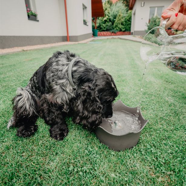 crownjuwel-miska-pro-psy-a-kocky-2