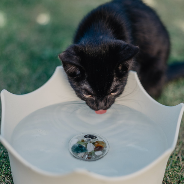 crownjuwel-miska-pro-psy-a-kocky-3