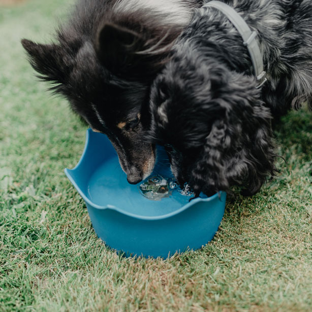 crownjuwel-miska-pro-psy-a-kocky-4