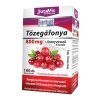 JutaVit Brusnice 800mg + zlatobyľ 100ks