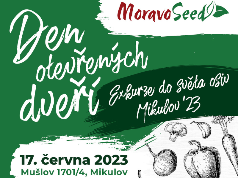 Vydejte se na exkurzi do světa osiv s MoravoSeed