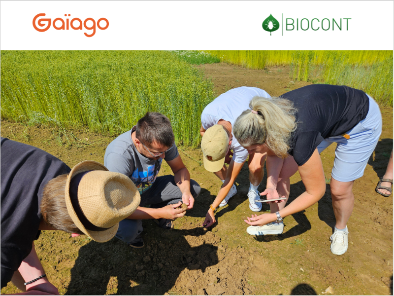 Pěstitelé cibule na exkurzi ve Francii