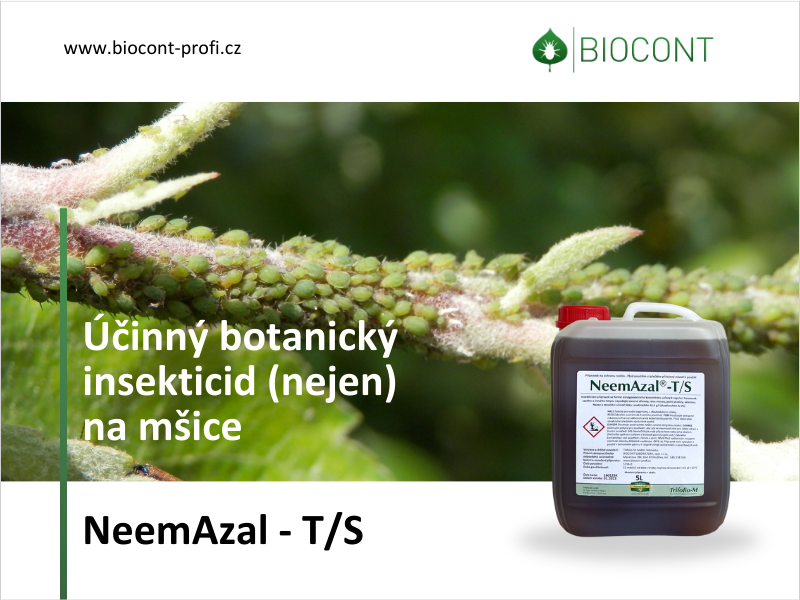 Proti mšicím v sadech co nejčasněji