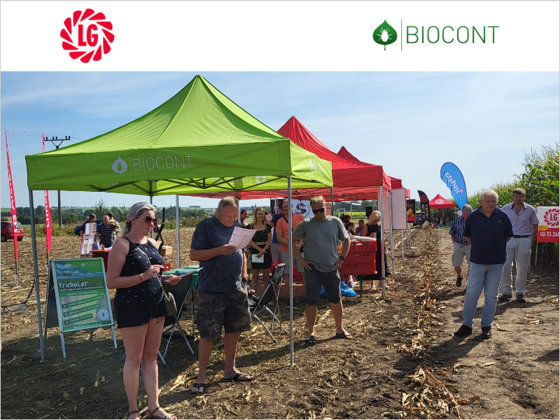 Polní dny kukuřice LG - termíny 2024