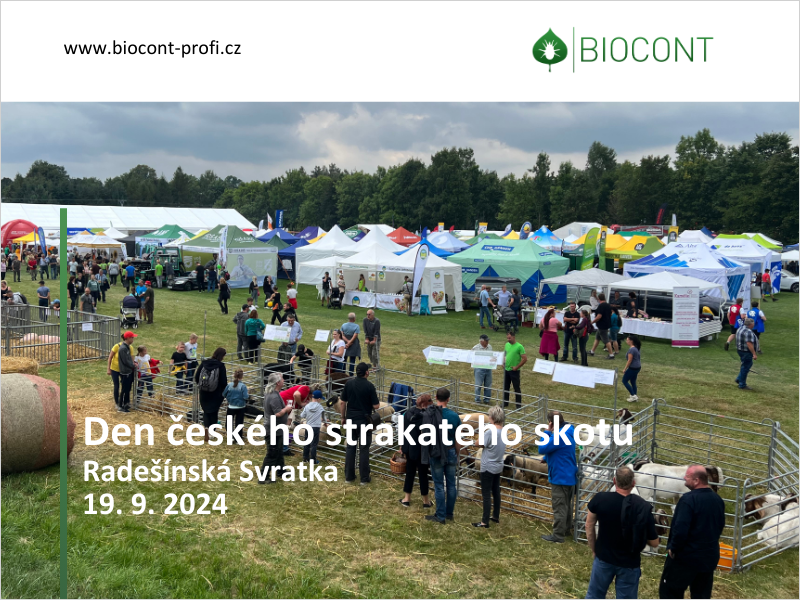 Účastníme se Národní výstavy Den českého strakatého skotu 2024