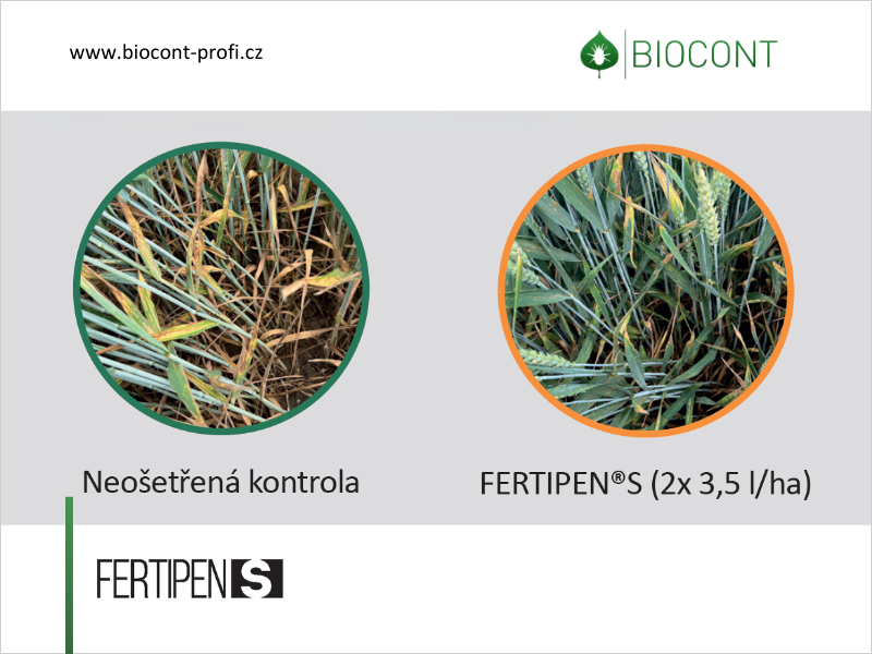 FERTIPEN S prokázal srovnatelný účinek s chemickým standardem