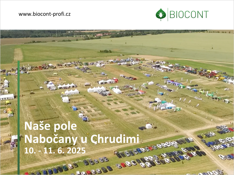 Potkáme se v Nabočanech - Naše pole 2025