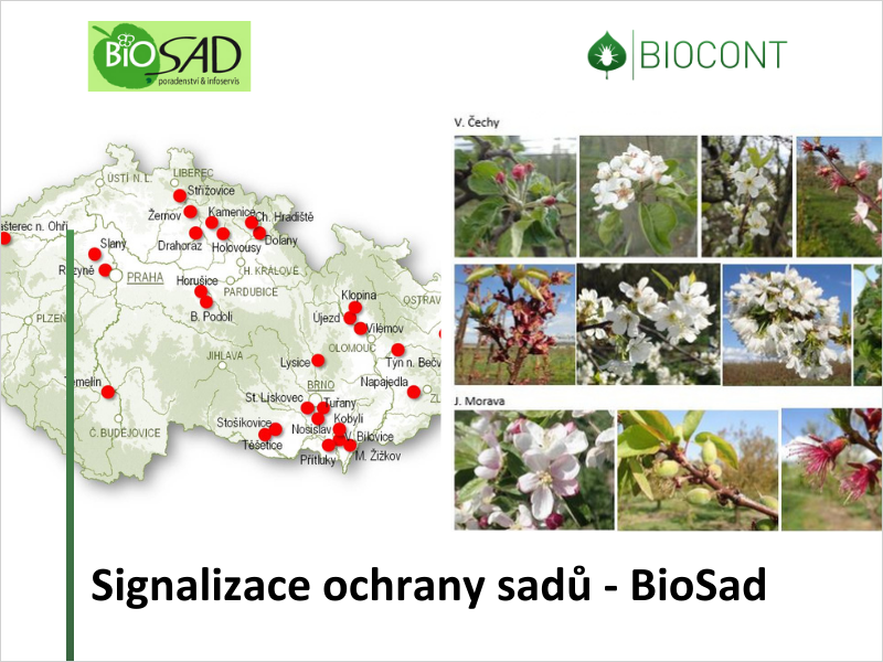 Dostávejte signalizační zprávy BioSad pro pěstitele ovoce