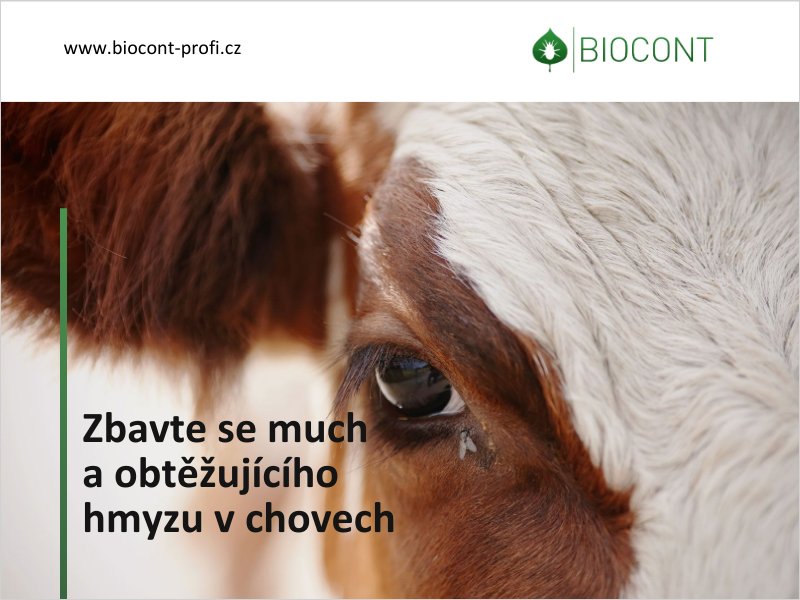 Stáje bez much - máme komplexní biologické řešení