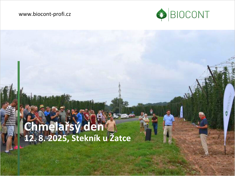 Představíme demonstrační pokus v chmelu