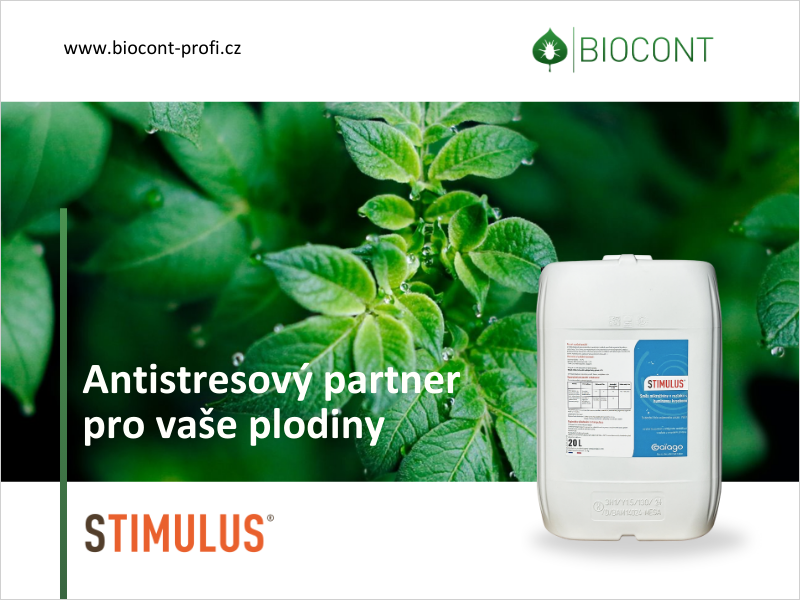 Omezte vnější stresy, kterým rostliny čelí