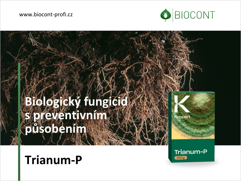 Biologický fungicid proti půdním patogenům