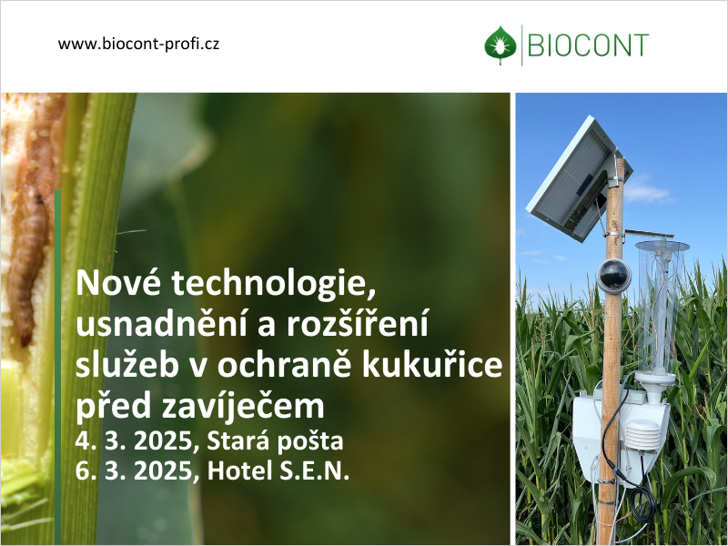 Jaké jsou nejnovější technologie v ochraně kukuřice? Zveme vás na seminář