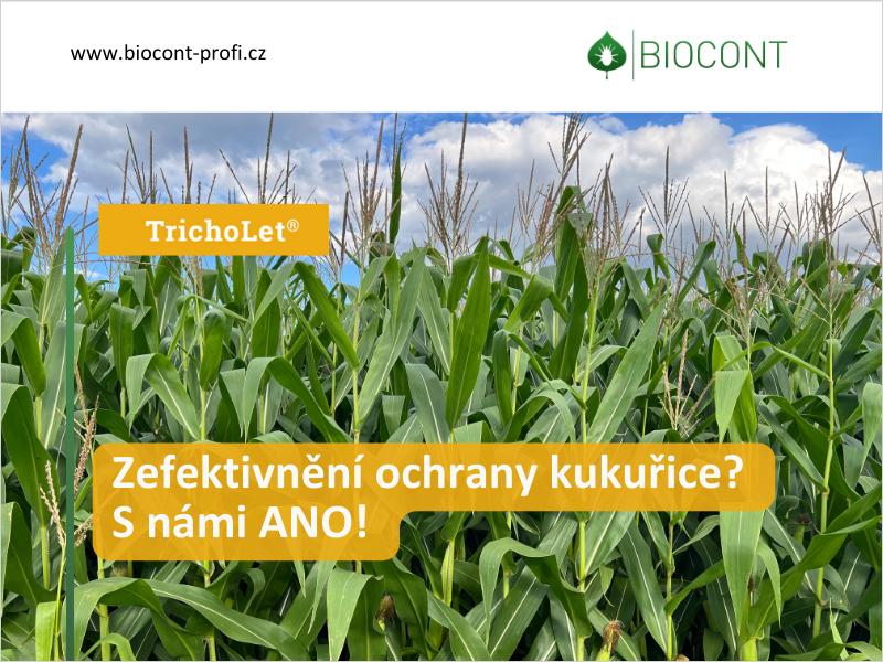 Nové technologie v ochraně kukuřice