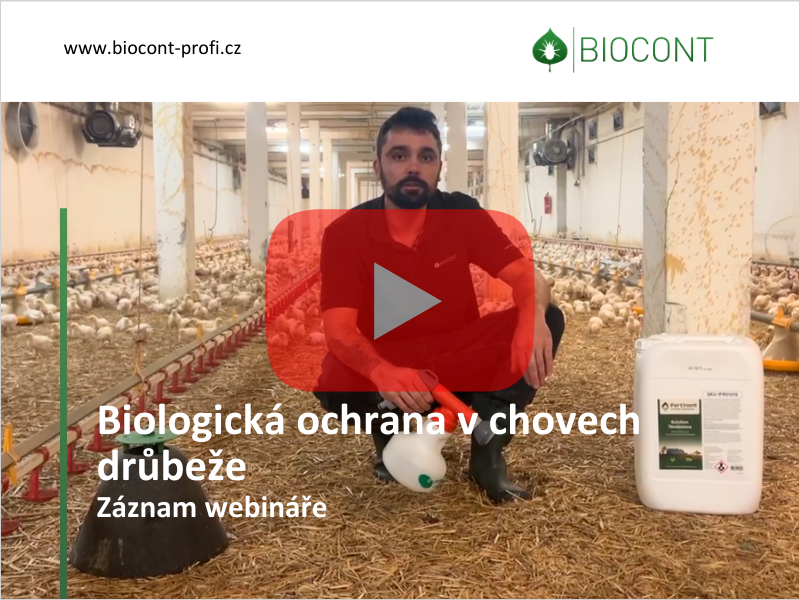 Jak na biologickou ochranu v chovech drůbeže? Poradíme vám