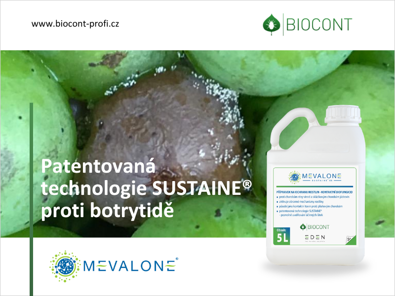 Mevalone proti plísni šedé s inovativní technologií