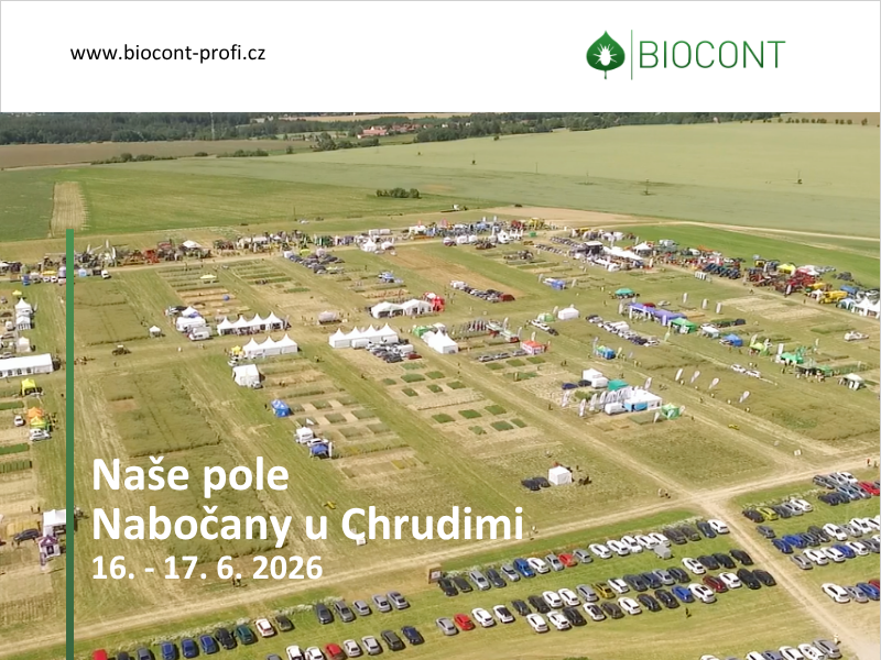 Potkáme se v Nabočanech - Naše pole 2026