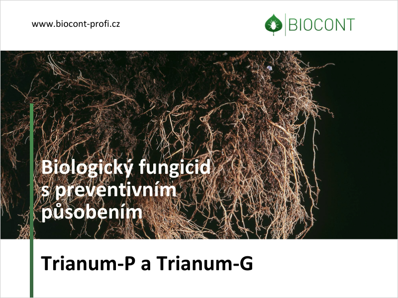 Biologický fungicid proti půdním patogenům