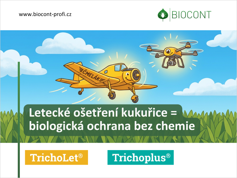 Žlutá letadla a drony nad kukuřicí po celé ČR